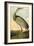 Sandhill Crane-John James Audubon-Framed Art Print