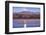 Sandhill Cranes and Full Moon, Bosque Del Apache, New Mexico-Paul Souders-Framed Photographic Print