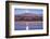 Sandhill Cranes and Full Moon, Bosque Del Apache, New Mexico-Paul Souders-Framed Photographic Print