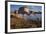 Sandhill Cranes and Mallard Ducks, British Columbia, Canada-Art Wolfe-Framed Photographic Print