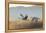 Sandhill Cranes Flying, Bosque Del Apache National Wildlife Refuge, New Mexico-Maresa Pryor-Framed Premier Image Canvas