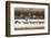 Sandhill Cranes Flying, Bosque Del Apache National Wildlife Refuge, New Mexico-Maresa Pryor-Framed Photographic Print