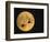 Sandhill Cranes Flying in Front of Full Moon, Bosque Del Apache National Wildlife Reserve-Ellen Anon-Framed Photographic Print