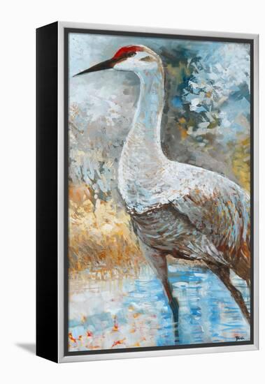 Sandhill Cranes I-Cecile Broz-Framed Premier Image Canvas