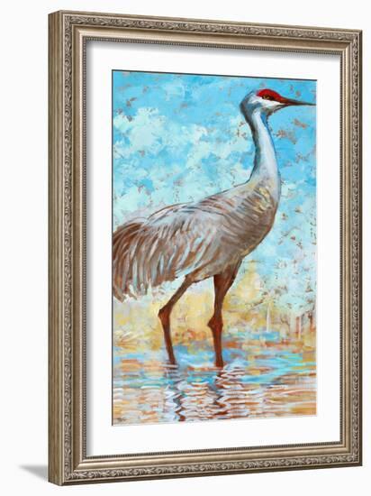 Sandhill Cranes II-Cecile Broz-Framed Giclee Print