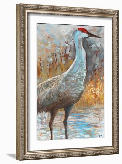 Sandhill Cranes III-Cecile Broz-Framed Giclee Print