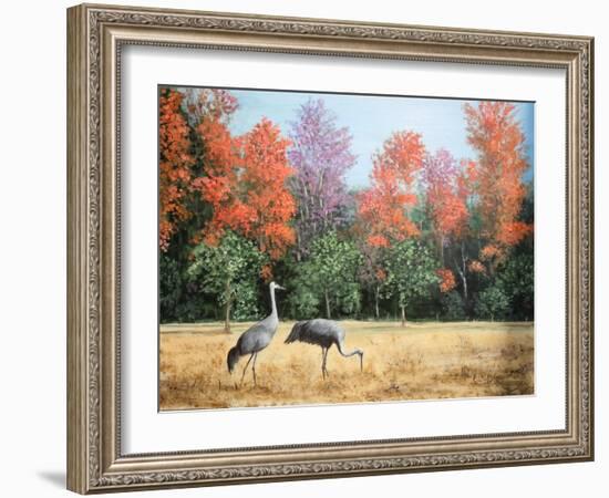 Sandhill Cranes in Florida-Marilyn Dunlap-Framed Art Print