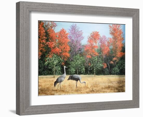 Sandhill Cranes in Florida-Marilyn Dunlap-Framed Art Print