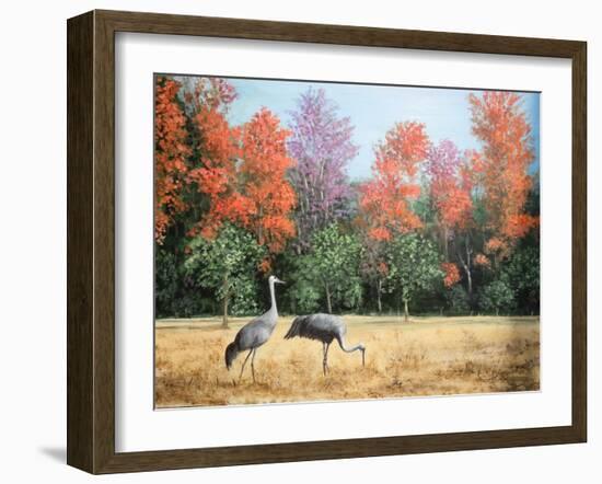 Sandhill Cranes in Florida-Marilyn Dunlap-Framed Art Print