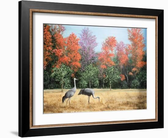 Sandhill Cranes in Florida-Marilyn Dunlap-Framed Art Print