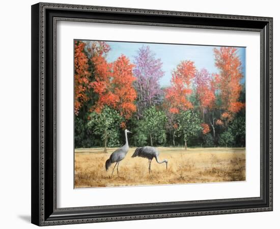 Sandhill Cranes in Florida-Marilyn Dunlap-Framed Art Print