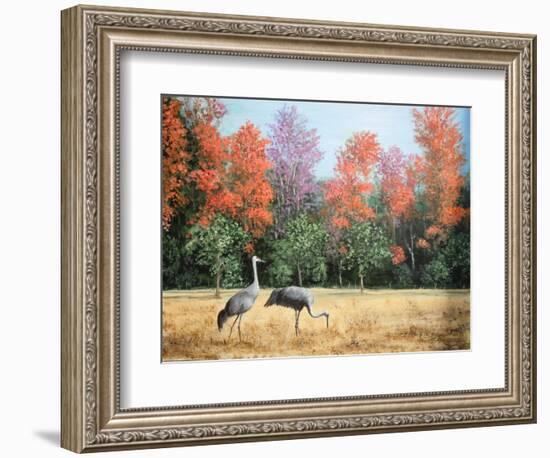 Sandhill Cranes in Florida-Marilyn Dunlap-Framed Art Print