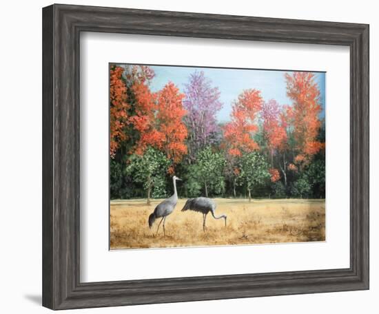 Sandhill Cranes in Florida-Marilyn Dunlap-Framed Art Print