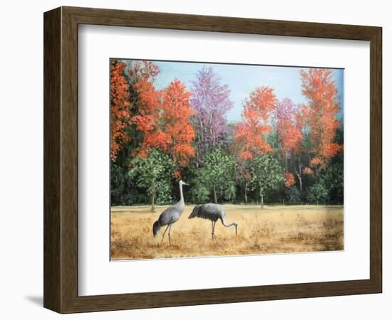 Sandhill Cranes in Florida-Marilyn Dunlap-Framed Art Print