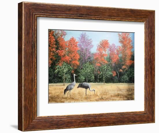 Sandhill Cranes in Florida-Marilyn Dunlap-Framed Art Print