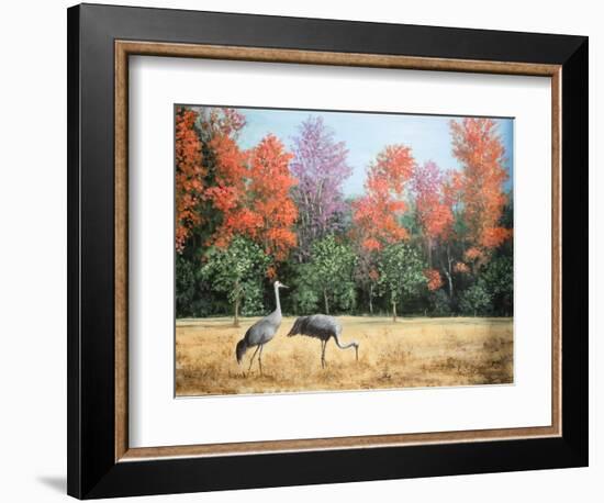 Sandhill Cranes in Florida-Marilyn Dunlap-Framed Art Print