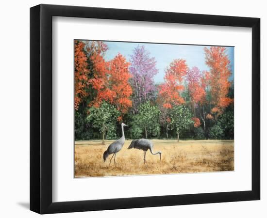 Sandhill Cranes in Florida-Marilyn Dunlap-Framed Art Print