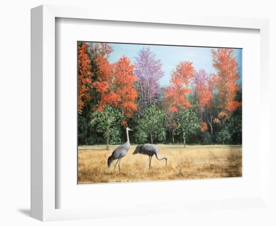 Sandhill Cranes in Florida-Marilyn Dunlap-Framed Art Print