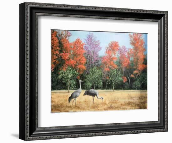 Sandhill Cranes in Florida-Marilyn Dunlap-Framed Art Print