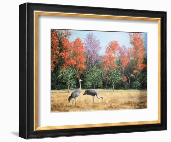 Sandhill Cranes in Florida-Marilyn Dunlap-Framed Art Print