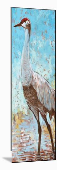 Sandhill Cranes IV-Cecile Broz-Mounted Giclee Print