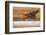 Sandhill Cranes Landing at Roosting Marsh-Larry Ditto-Framed Photographic Print