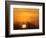Sandhill Cranes Silhouetted Aginst Rising Sun, Leaving Platte River, Near Kearney, Nebraska, USA-Chuck Haney-Framed Photographic Print