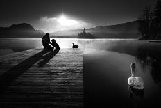 A peaceful morning at the lake-Sandi Bertoncelj-Photographic Print