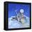 Sandman on Cloud-Judy Mastrangelo-Framed Premier Image Canvas