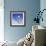 Sandman on Cloud-Judy Mastrangelo-Framed Giclee Print displayed on a wall