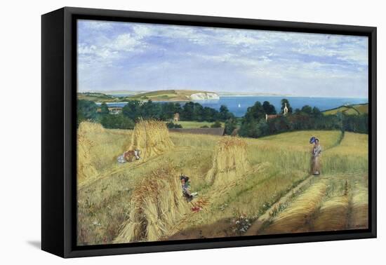 Sandown Bay, Isle of Wight to Culver Cliff with a Cornfield in the Foreground, c.1850-Richard Burchett-Framed Premier Image Canvas