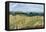 Sandown Bay, Isle of Wight to Culver Cliff with a Cornfield in the Foreground, c.1850-Richard Burchett-Framed Premier Image Canvas