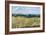 Sandown Bay, Isle of Wight to Culver Cliff with a Cornfield in the Foreground, c.1850-Richard Burchett-Framed Giclee Print