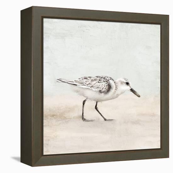 Sandpiper 1-Kimberly Allen-Framed Stretched Canvas