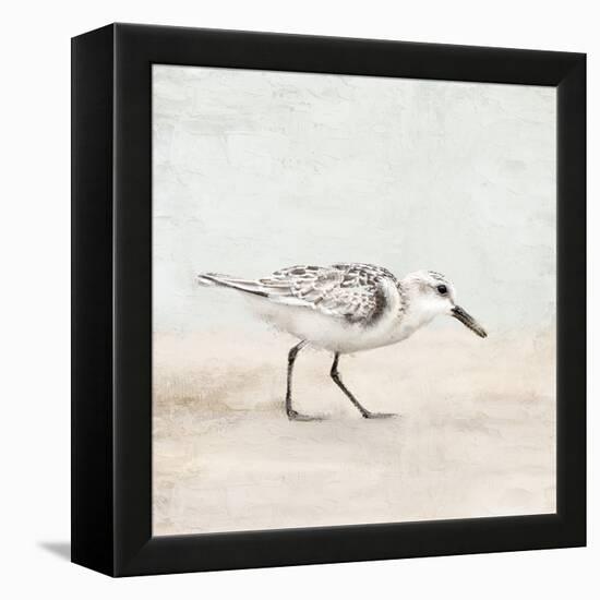 Sandpiper 1-Kimberly Allen-Framed Stretched Canvas