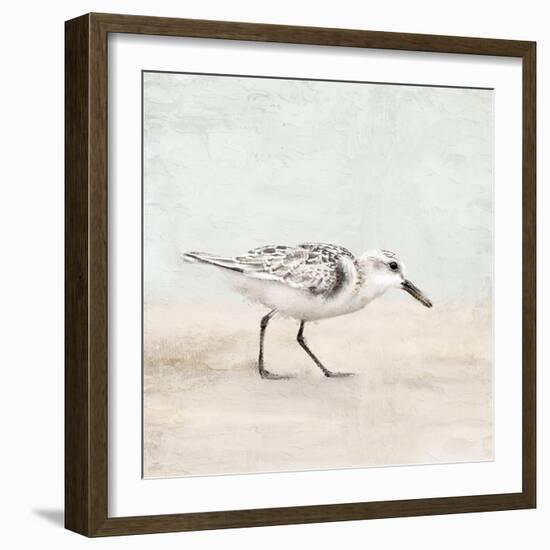 Sandpiper 1-Kimberly Allen-Framed Art Print