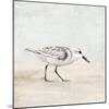 Sandpiper 1-Kimberly Allen-Mounted Art Print