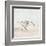 Sandpiper 1-Kimberly Allen-Framed Art Print