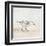 Sandpiper 1-Kimberly Allen-Framed Art Print