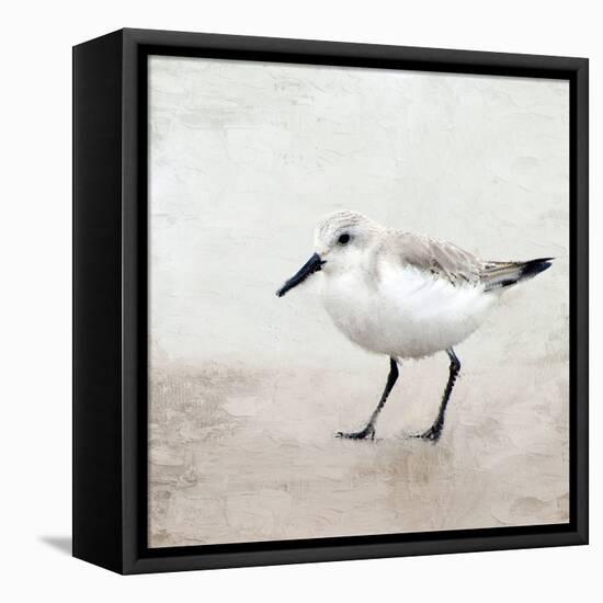 Sandpiper 2-Kimberly Allen-Framed Stretched Canvas