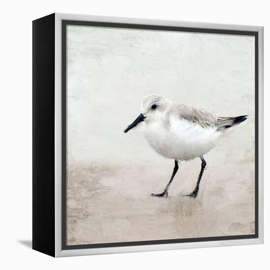 Sandpiper 2-Kimberly Allen-Framed Stretched Canvas