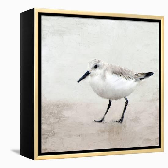 Sandpiper 2-Kimberly Allen-Framed Stretched Canvas