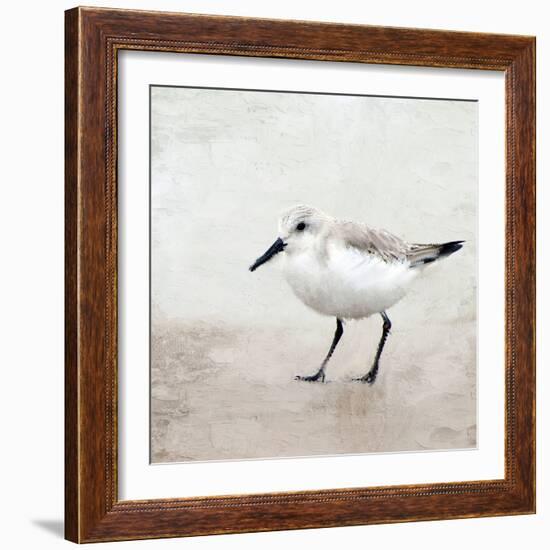 Sandpiper 2-Kimberly Allen-Framed Art Print