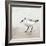 Sandpiper 2-Kimberly Allen-Framed Art Print