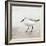 Sandpiper 2-Kimberly Allen-Framed Art Print