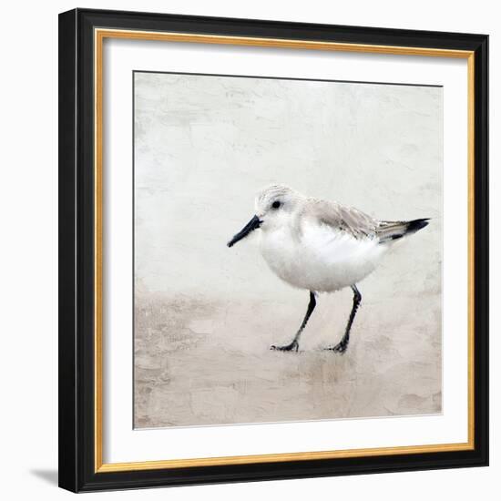 Sandpiper 2-Kimberly Allen-Framed Art Print