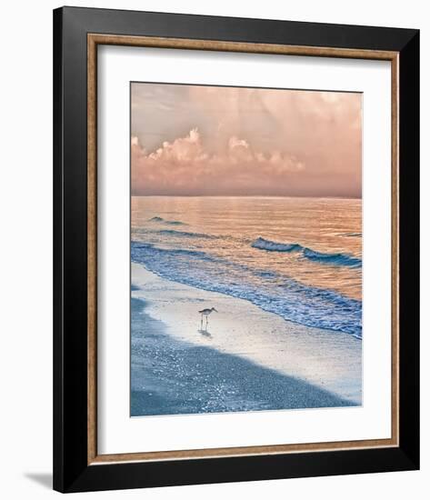 Sandpiper at Sunrise-Mary Lou Johnson-Framed Art Print