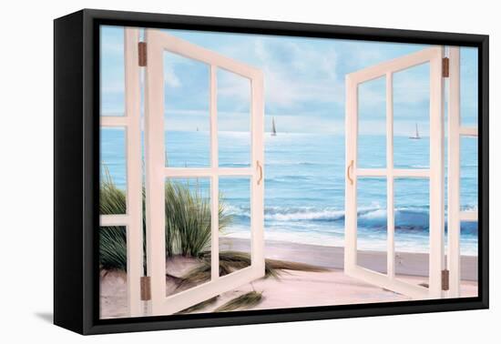 Sandpiper Beach Door-Diane Romanello-Framed Stretched Canvas