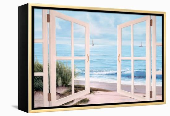 Sandpiper Beach Door-Diane Romanello-Framed Stretched Canvas