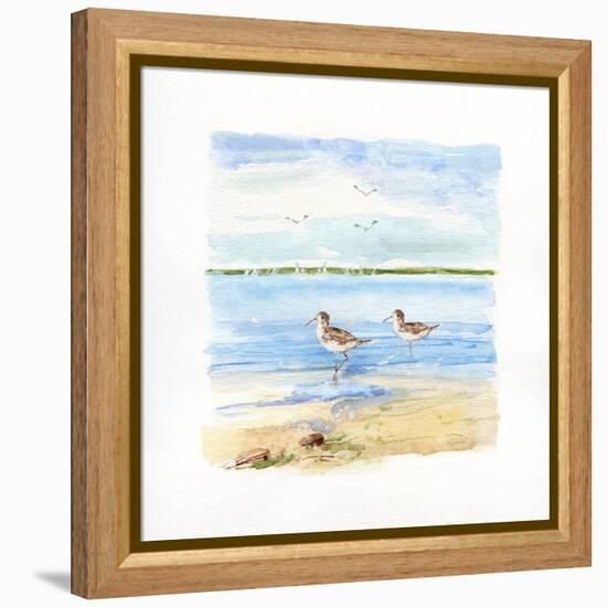 Sandpiper Beach II-Sally Swatland-Framed Stretched Canvas